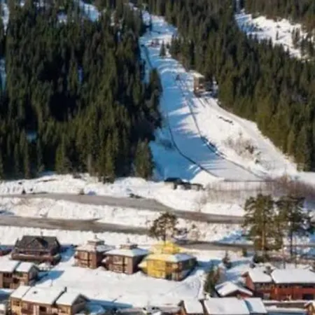 Ferienhaus In Out Close To The Skiresort Voss